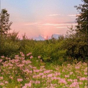 Meet your Posher, Lin